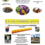 BULLETIN 51